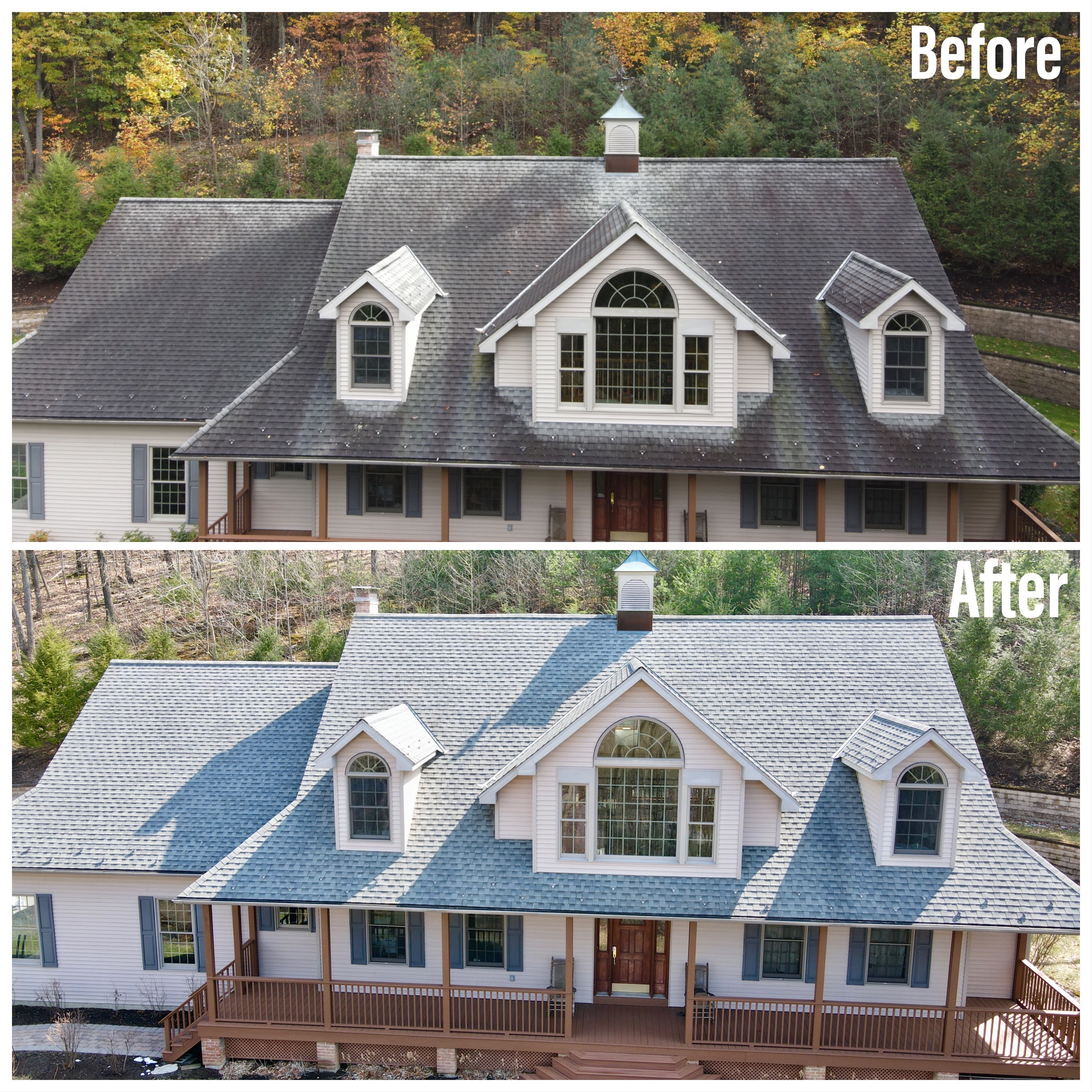 Roof Cleaning